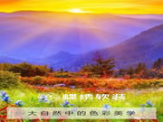 蝶繡軟裝?將自然搬進家 詮釋色彩美學(xué)