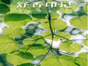 【領(lǐng)繡·菁華】清麗脫俗的寶藏空間，輕奢格調(diào)遇見不凡