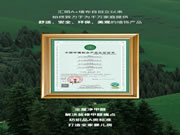 匯明A+墻布315鉅惠速遞｜千元墻布免費貼，多重好禮拿到手軟！