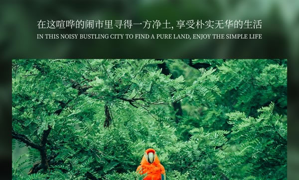 【領(lǐng)繡·菁華】光和森林系列 | 回到原始森林，來一場熱帶旅行