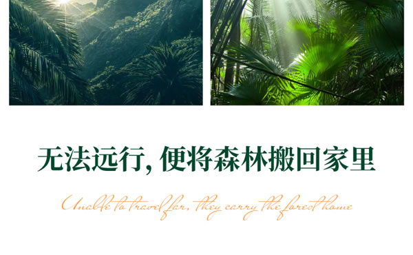 【領(lǐng)繡·菁華】光和森林系列 | 回到原始森林，來一場熱帶旅行